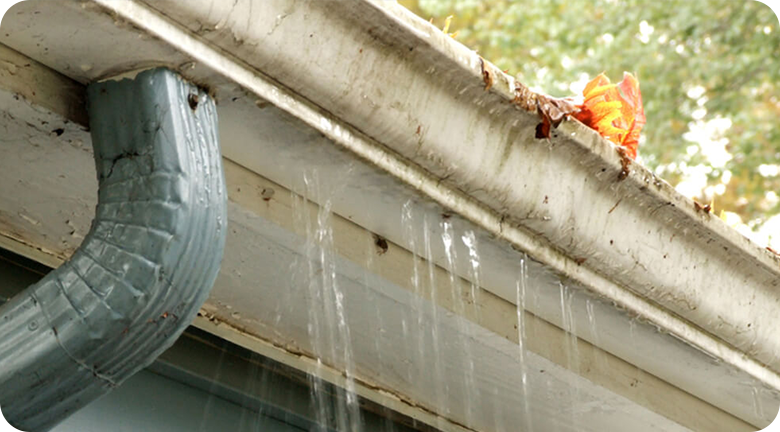 Goodnick home inspection, repair and maintenance